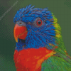 Tropical Colorful Lory Diamond Painting