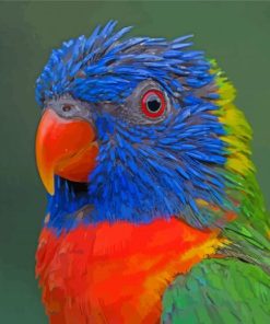 Tropical Colorful Lory Diamond Painting