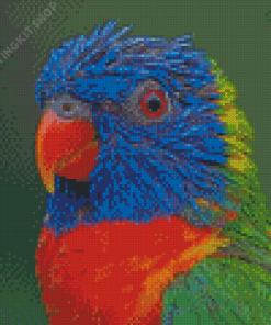 Tropical Colorful Lory Diamond Painting