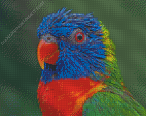 Tropical Colorful Lory Diamond Painting