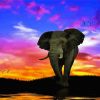 Tropical Elephant Sunset Diamond Painting