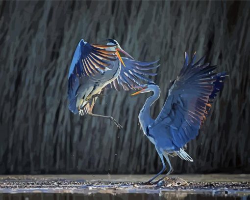 Two Grey Heron Birds Diamond Painting