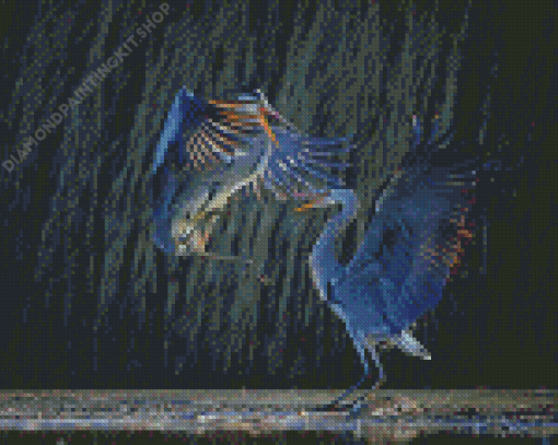 Two Grey Heron Birds Diamond Painting