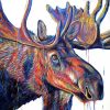 Velvet Moose Head Diamond Painting