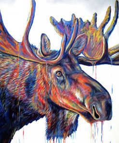 Velvet Moose Head Diamond Painting