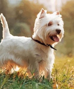 West Highland Terrier Puppy Diamond Painting