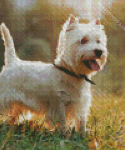 West Highland Terrier Puppy Diamond Painting