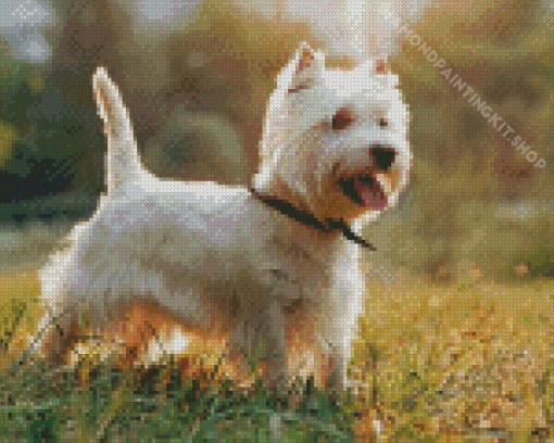 West Highland Terrier Puppy Diamond Painting