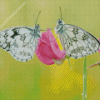 White Couple Butterfly Diamond Painting