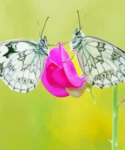 White Couple Butterfly Diamond Painting