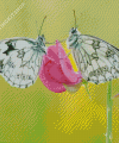 White Couple Butterfly Diamond Painting