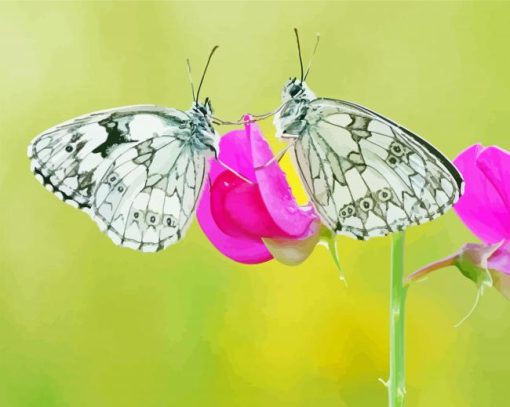 White Couple Butterfly Diamond Painting