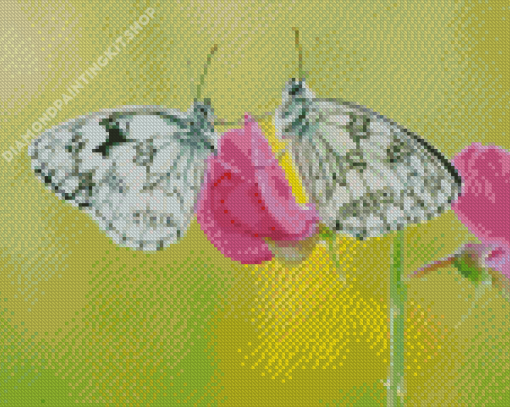 White Couple Butterfly Diamond Painting