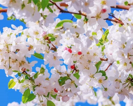 White Trees Blooming Diamond Painting