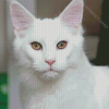 White Cat Animal Diamond Painting