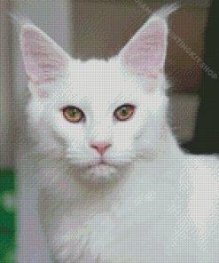 White Cat Animal Diamond Painting