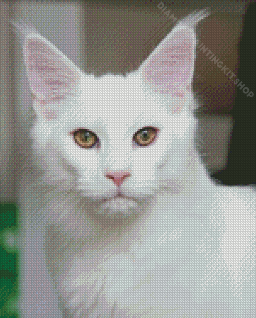 White Cat Animal Diamond Painting