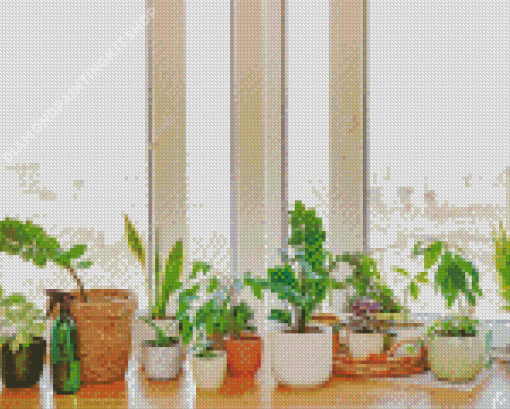 Window Plants Diamond Painting