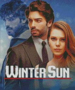 Winter Sun Poster Diamond Painting