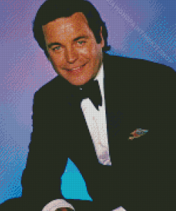 Actor Robert Wagner Diamond Painting