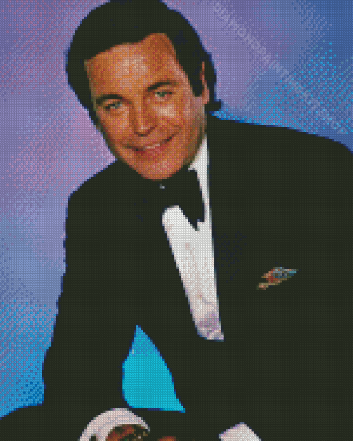 Actor Robert Wagner Diamond Painting