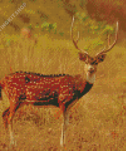 Axis Deer In The National Park Diamond Painting