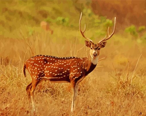 Axis Deer In The National Park Diamond Painting