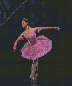 Ballet Princess Diamond Painting