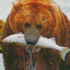 Bear With Fish Diamond Paintings