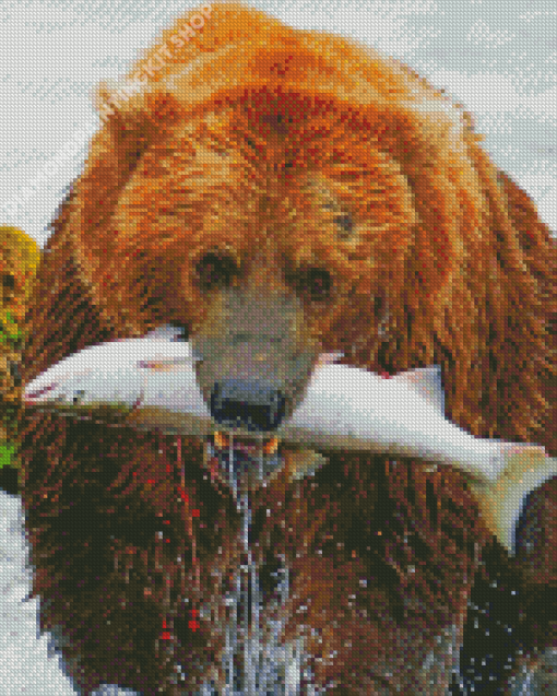 Bear With Fish Diamond Paintings