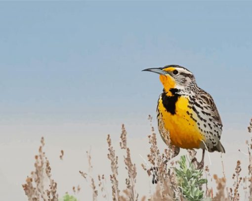 Beautiful Western Meadowlark Diamond Painting