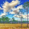 Big Cypress Landscape Diamond Painting