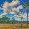 Big Cypress Landscape Diamond Painting