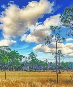 Big Cypress Landscape Diamond Painting