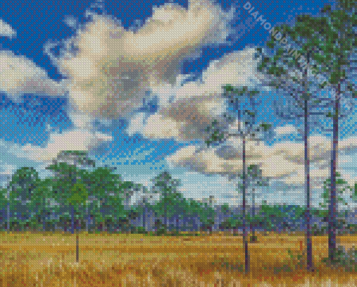 Big Cypress Landscape Diamond Painting