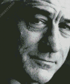 Black And White Robert De Niro Diamond Painting