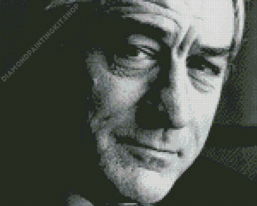 Black And White Robert De Niro Diamond Painting