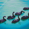 Black Swans Art Diamond Painting