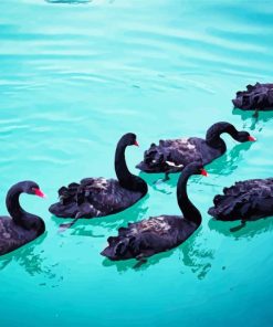 Black Swans Art Diamond Painting