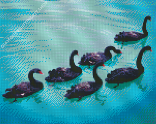 Black Swans Art Diamond Painting