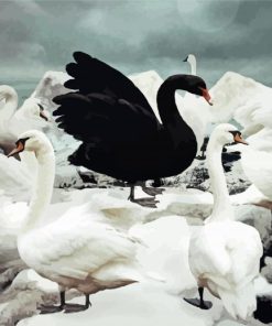 Black Swans Diamond Painting