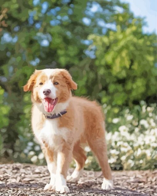 Blonde Border Collie Puppy Diamond Painting