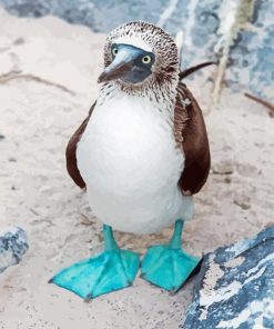 Blue Footed Boob Diamond Painting