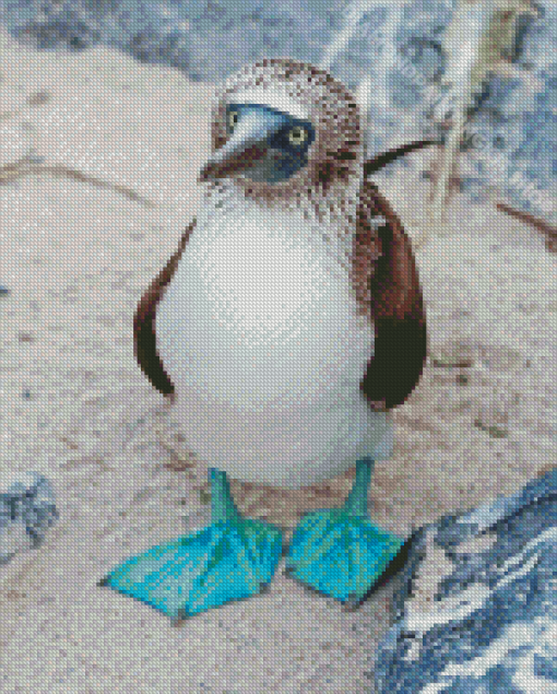 Blue Footed Boob Diamond Painting