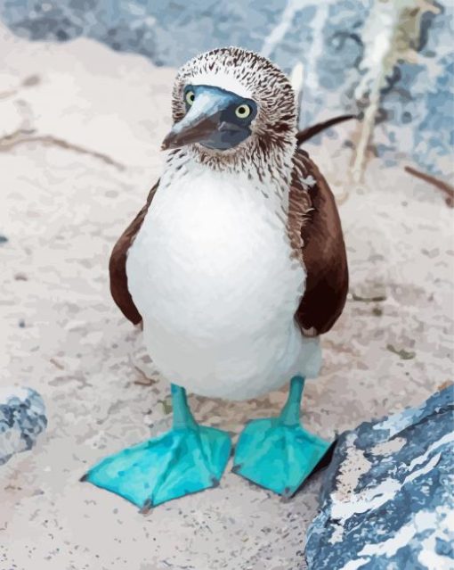 Blue Footed Boob Diamond Painting