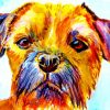 Border Terrier Head Diamond Painting