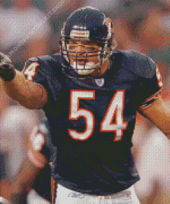 Brian Urlacher American Football Player Diamond Painting