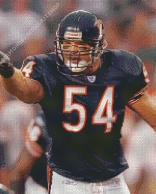 Brian Urlacher American Football Player Diamond Painting