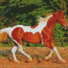 Brown And White Horse Animal Diamond Painting