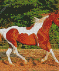 Brown And White Horse Animal Diamond Painting